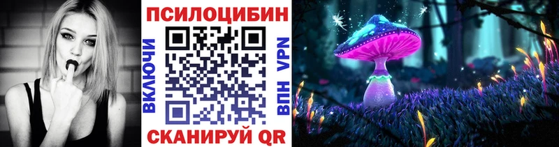 Псилоцибиновые грибы прущие грибы  где продают наркотики  Палласовка 